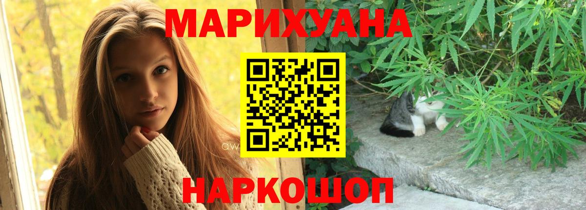 Шишки марихуана конопля  Конопля сатива  Марихуана планчик  Вход с VPN  Чайковский 